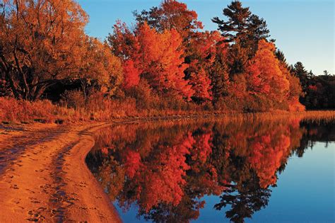 Fall Foliage | Wisconsin fall colors, Scenic photos, Fall hiking