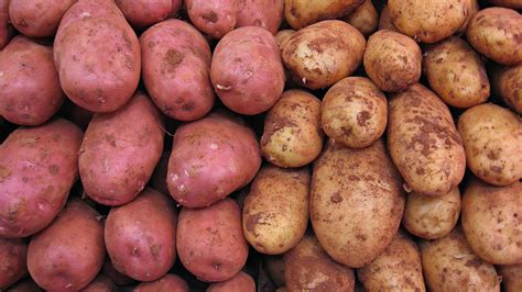 Starchy Potatoes - All the Benefits - auscrops.com.au