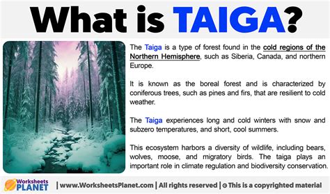 What is Taiga Ecosystem | Definition of Taiga