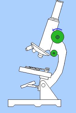 Microscope GIF - Find & Share on GIPHY