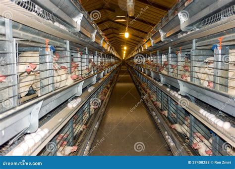 Modern Chicken Coop Farm Royalty Free Stock Photos - Image: 27400288