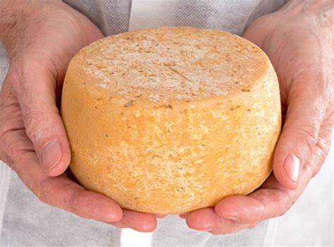 The Cheese Making Process - TheCheeseMaker.com