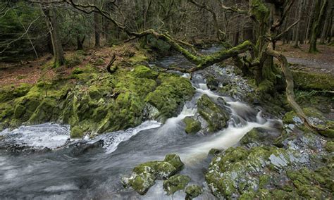 Tollymore Forest Park Map