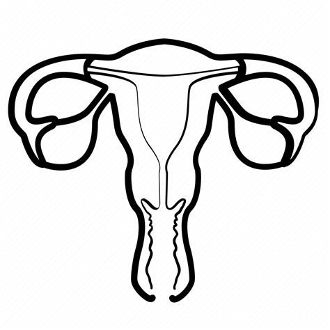 Human, important, life, organ, uterus icon - Download on Iconfinder