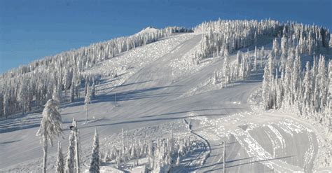 Mt Spokane Ski Area • Ski Holiday • Reviews • Skiing