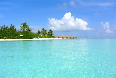 Tropical paradise coastline, Maldives free image download