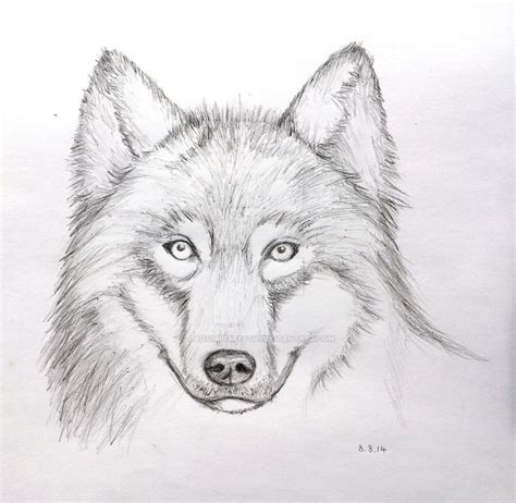 Wolf Face Pencil Drawing (Mark Crilley Video) by LadyImperfectus on ...