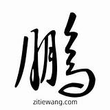 鹏草书书法 鹏毛笔草书怎么写 字帖� sketch template