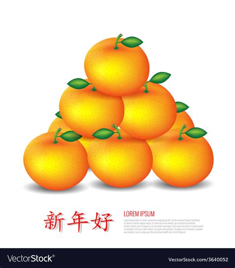 Chinese new year mandarin oranges Royalty Free Vector Image