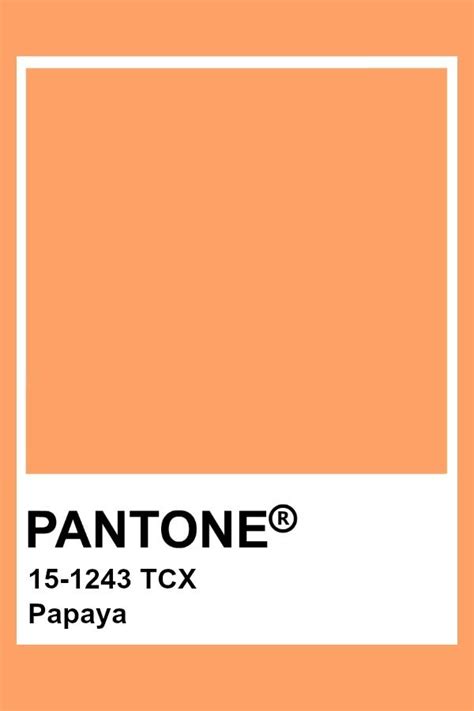 Pantone Papaya | Pantone colour palettes, Pantone orange, Pantone color