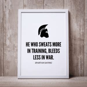 Spartan - Wise Owl Quotes