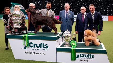 Crufts Dog Show 2023 live: All the latest updates from Day 2