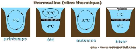 Thermocline : définition et explications