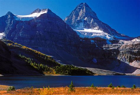 The Assiniboine Traverse: A Tale of Unrivaled Splendor, Grizzly Bears ...