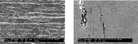 SEM micrograph of typical HIC-damaged regions in samples CR1 (a) and ...