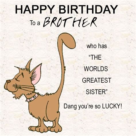 Funny Birthday images for Brother | Happy birthday brother funny ...