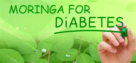 Moringa & Diabetes - What You Need to Know - Simple Life Nutrition