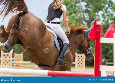 Horse jumping show stock image. Image of action, grooming - 73223655