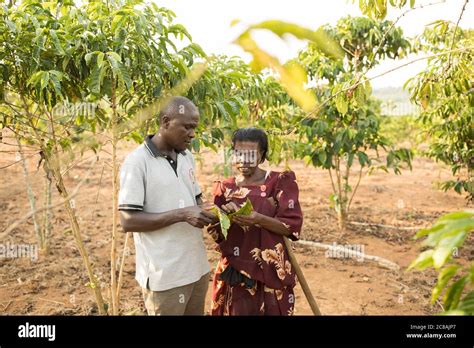 An agricultural extension services agent gives farming advice to a ...