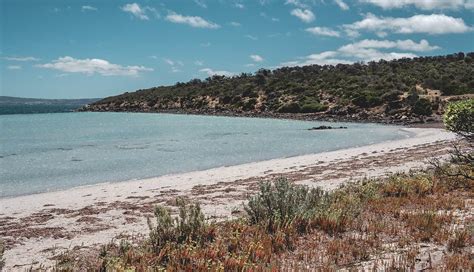 Eyre Peninsula Beaches - Travel Guide – The Green Adventurers