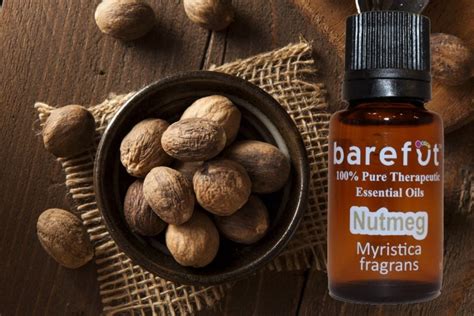 100% Pure Therapeutic Nutmeg Essential Oil - barefut