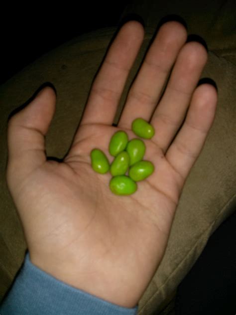 Got me some senzu beans : dbz