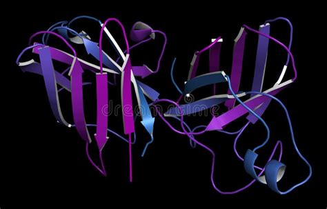 Superoxide Dismutase 1 SOD1 Enzyme. Converts Superoxide Radical in Hydrogen Peroxide. Gene ...