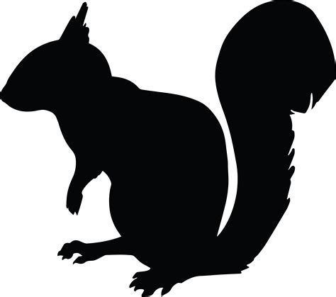 Squirrel Chipmunk Silhouette Clip art - animal silhouettes png download - 4000*3540 - Free ...