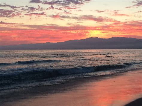 Venice, Beach sunset - It was beautiful! | Beach sunset, Sunset, Beach