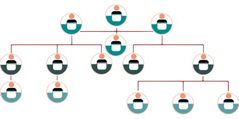 Organization Chart Information - Free vector graphic on Pixabay