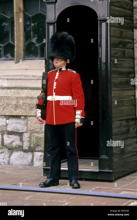 Royal Guard, Queen's Guard, Queen's Life Guard, King's Guard, King's Life Guard, London, England ...