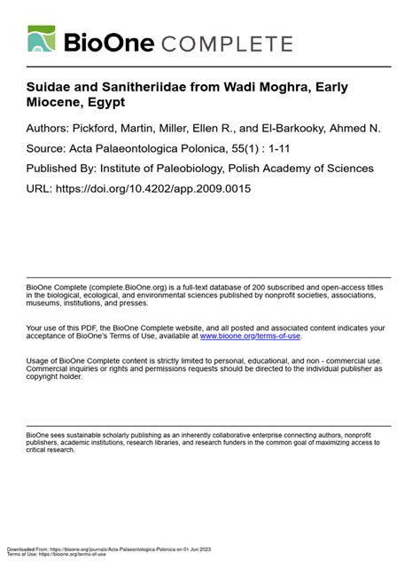 Martin Pickford 2009 Suidae and Sanitheriidae From Wadi Moghra, Early Miocene, Egypt | PDF ...