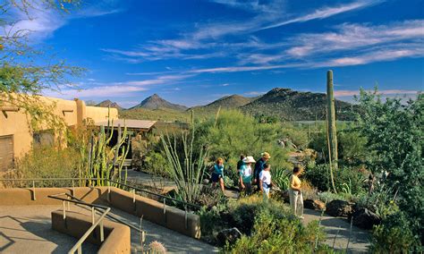 Arizona Sonora Desert Museum © Chuck Haney | Chuck Haney Outdoor Photography