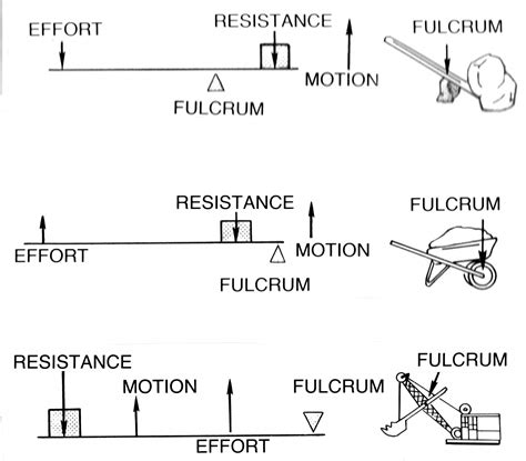 Body Levers – Introduction to Exercise Science for Fitness Professionals