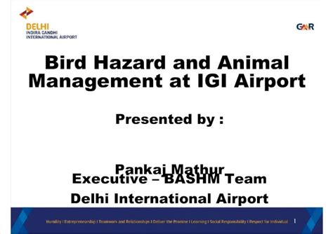 (PDF) Bird Animal Strike Hazard Manangement - Mitigation Plan - Delhi Airport - DOKUMEN.TIPS