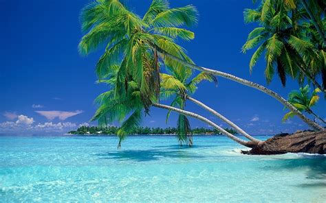 🔥 [30+] Wallpapers Landscapes Beach Tropical HD | WallpaperSafari