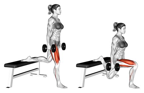 6 Best Dumbbell Squat Variations (with Pictures!) - Inspire US