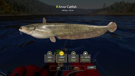 Fish Of The Week 21/03 - 28/03 - Fish of the Week - Russian Fishing 4