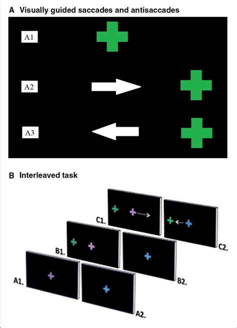 | (A) Ocular motor tasks. (A) Visually guided saccades and ...