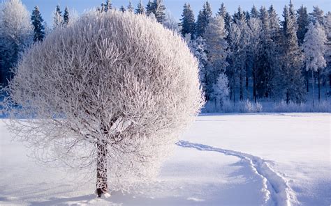 Most Beautiful Winter Wallpapers | Full HD Pictures