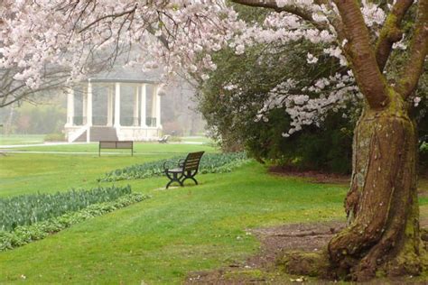 Queens Park Invercargill, NZ | New zealand holidays, Invercargill, Landscape