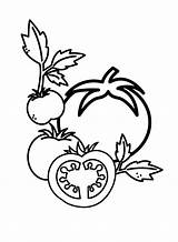 Tomatoes Picture coloring page  Download Print Or Color Online For Free sketch template