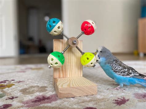 Rotating Bird Toy With Bell Budgie Toy Parakeet Toy Parrot - Etsy ...