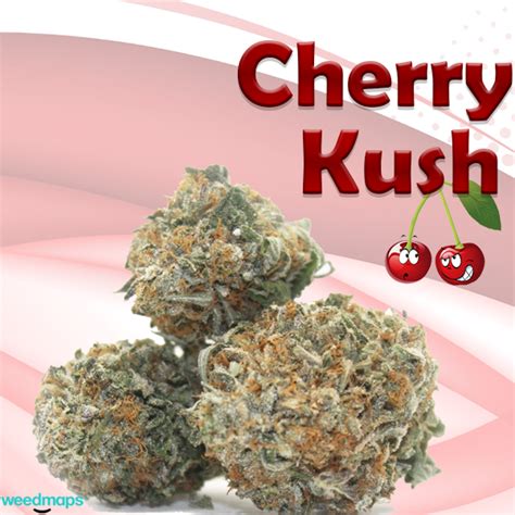 White Cherry Kush-28 Grams (AAA) – Weed The Best