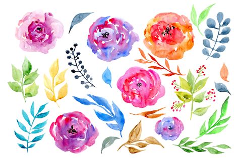 Watercolor flowers, 24 png clipart (21512) | Illustrations | Design Bundles