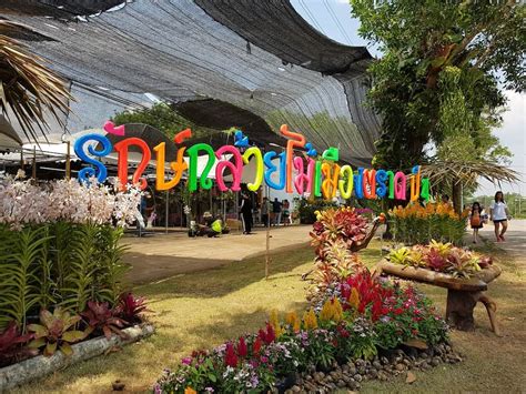 Discover Trat - Khao Saming Orchid Festival 2017 | Orchid Event in Trat