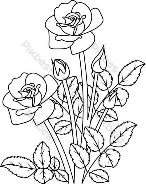 Rose Flower Coloring Page Line Art Illustration For Kid And Adult PNG Images | EPS Free Download ...