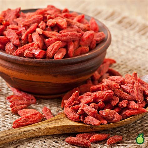 Why Goji Berries are Awesome - Blog | Healthy Options