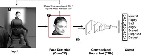 AI face detection as support for psychotherapy • healthcare-in-europe.com