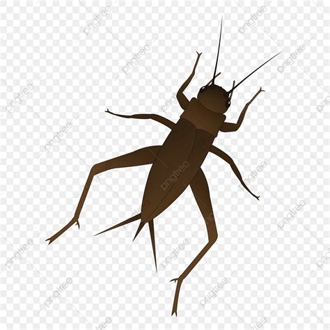 Insect Cricket Clipart Hd PNG, Original Cartoon Vector Insect Cricket Cricket Element, Cricket ...